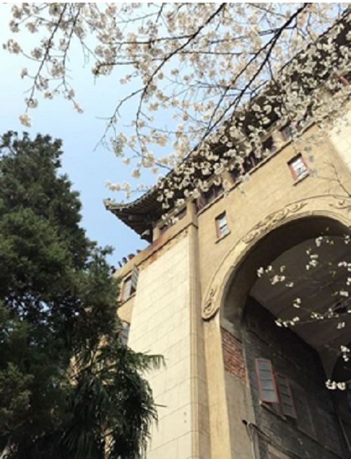 2020年3月13日，武漢站 居家云辦公，服務(wù)不打烊.png