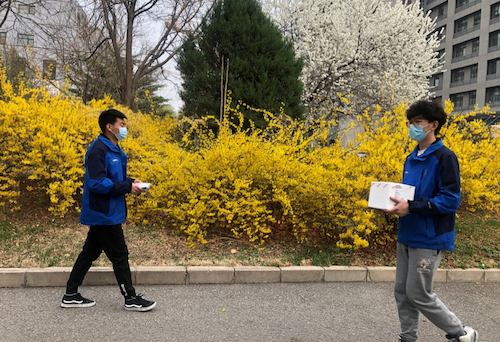 較往日靜謐的中科院北郊園區(qū)，怒放的迎春花注視著奔波于各研究所“無接觸配送”的“喀斯瑪藍(lán)” .png